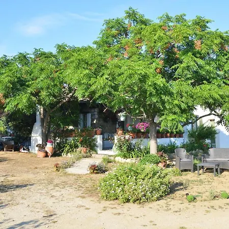 Feriehus Ktima Dimitrios Naxos City