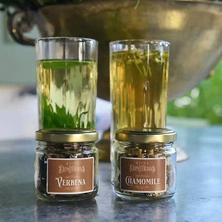 Feriehus Ktima Dimitrios