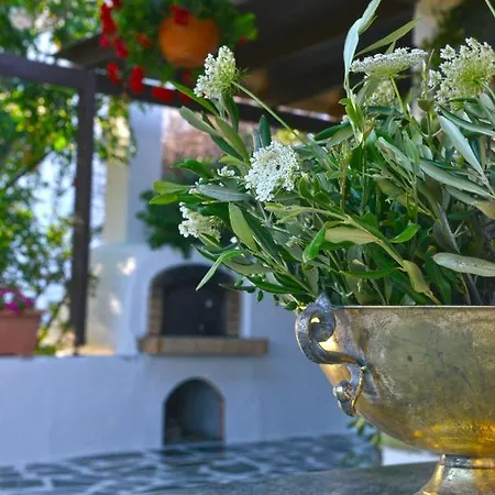 Ktima Dimitrios Feriehus Naxos City