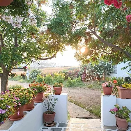 Ktima Dimitrios Naxos City