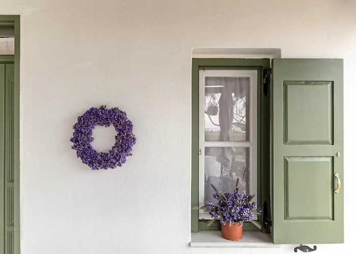 Ktima Dimitrios Dom wakacyjny