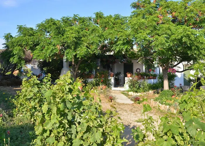 Ktima Dimitrios Dom wakacyjny *