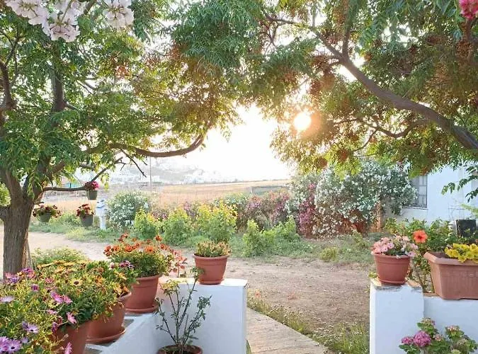 Ktima Dimitrios Naxos City