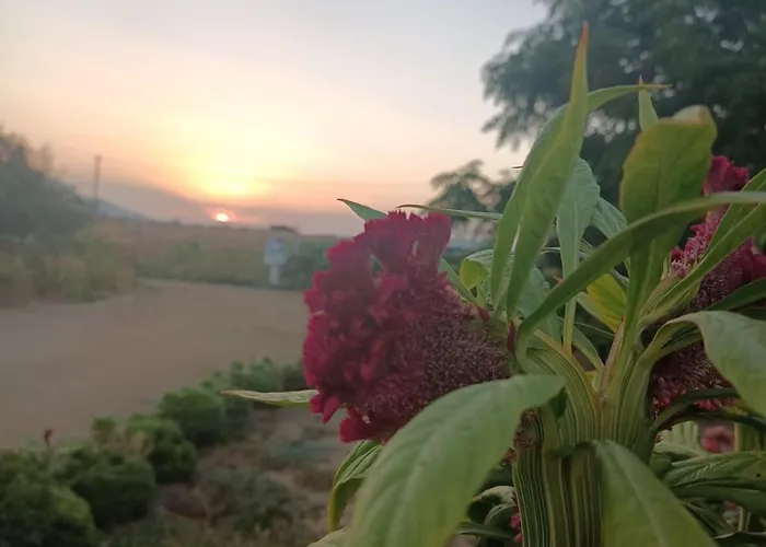 Ktima Dimitrios Dom wakacyjny *