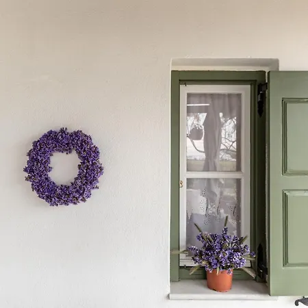 Ktima Dimitrios Casa vacanze