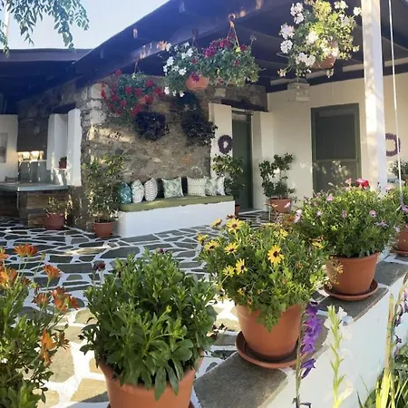 Ktima Dimitrios Casa vacanze *