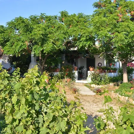 Ktima Dimitrios Casa vacanze *