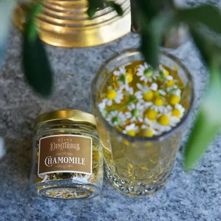 Ktima Dimitrios Casa vacanze *