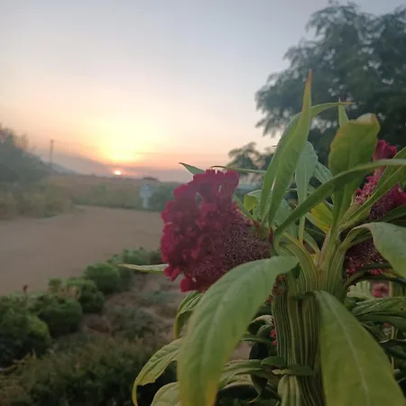 Ktima Dimitrios Casa vacanze *