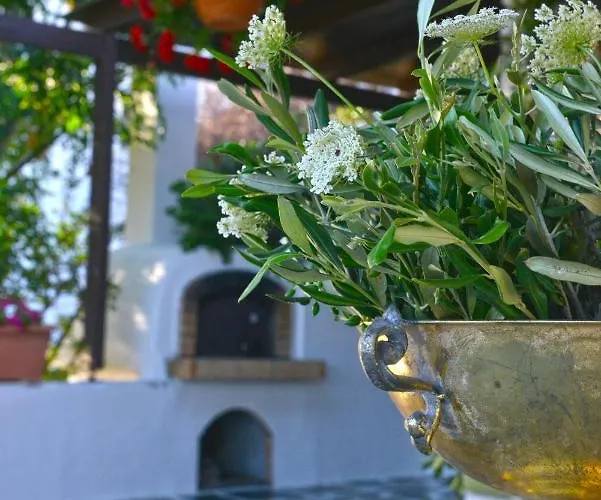 Ktima Dimitrios Дом отдыха Naxos City