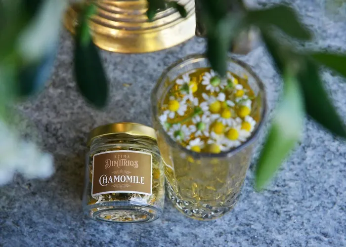 Ktima Dimitrios Дом отдыха *